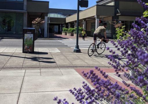 A photo of a city area. Someone is biking, and plants are visible.